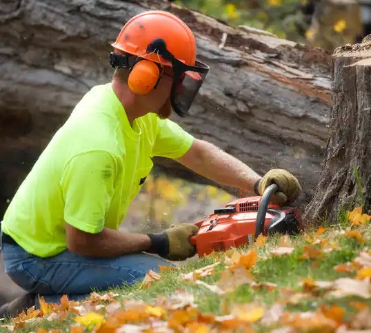 tree services Wheatley Heights